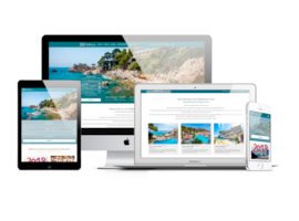 Website Design